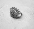 Anillo de colección silver